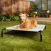 Frisco Steel-Framed Elevated Dog Bed -Chewy Store 112076 MAIN. AC SS1800 V1674156718
