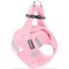 Frisco Small Breed Soft Vest Step In Back Clip Dog Harness 2 Frisco Small Breed Soft Vest Step In Back Clip Dog Harness -Chewy Store 139821 MAIN. AC SS1800 V1699631626