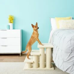 Frisco 18.5 Or 24.5 Inch 2-in-1 Cat & Dog Stairs 15 Frisco 18.5 Or 24.5 Inch 2-in-1 Cat & Dog Stairs -Chewy Store 140154 PT6. AC SS1800 V1584453442