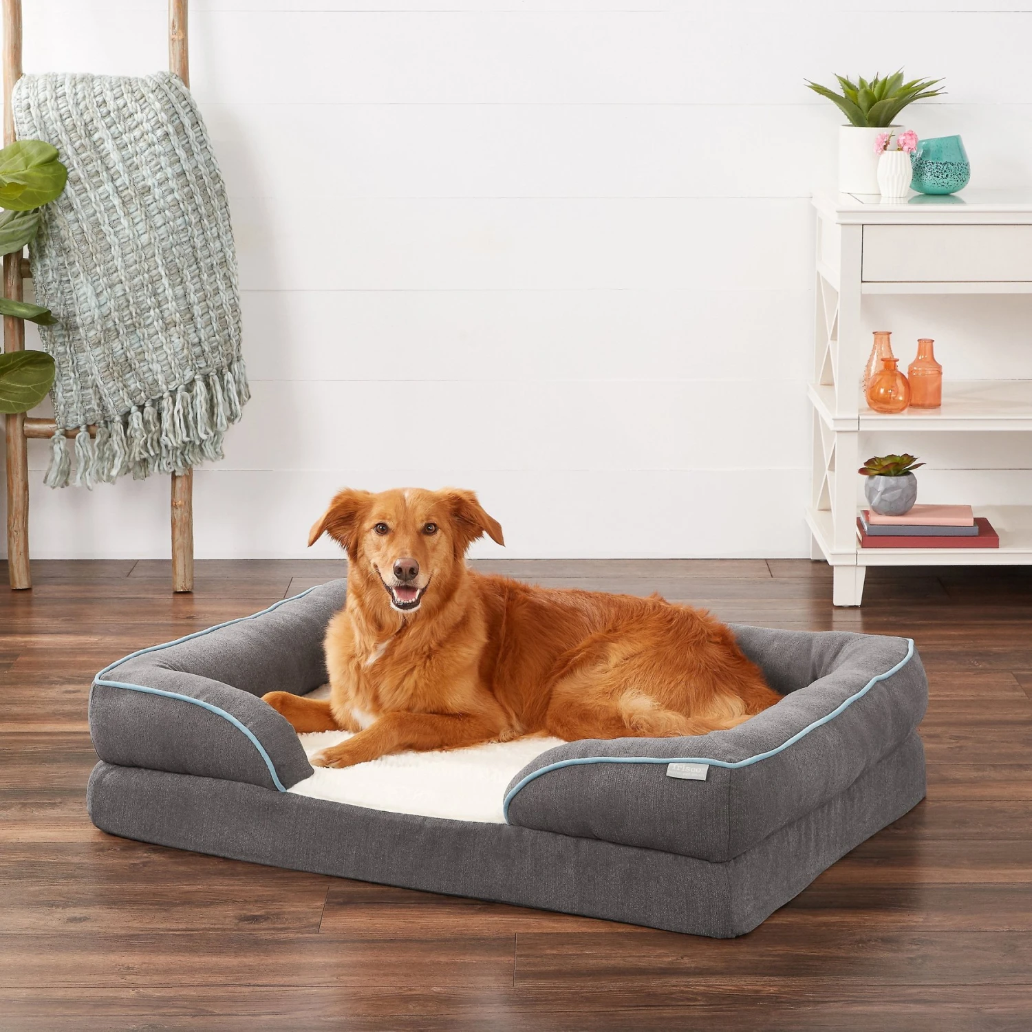 Frisco Plush Orthopedic Front Bolster Cat & Dog Bed W/Removable Cover 3 Frisco Plush Orthopedic Front Bolster Cat & Dog Bed W/Removable Cover