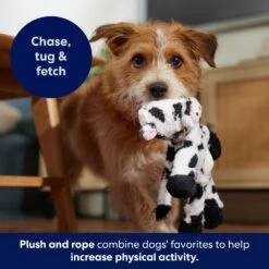 Frisco Cow Plush With Inside Rope Squeaky Dog Toy -Chewy Store 147063 PT5. AC SS1800 V1691776574