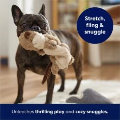 Frisco Beaver Bungee Plush Squeaky Dog Toy 12 Frisco Beaver Bungee Plush Squeaky Dog Toy -Chewy Store 152824 PT5. AC SS1800 V1686580146