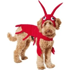 Frisco Red Lobster Dog & Cat Costume -Chewy Store 158723 PT2. AC SS1800 V1659023725