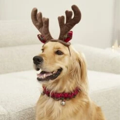 Frisco Holiday Antler Headband & Bell Collar Dog & Cat Costume 10 Frisco Holiday Antler Headband & Bell Collar Dog & Cat Costume -Chewy Store 160658 PT4. AC SS1800 V1568818037