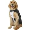 Frisco Formal Dog & Cat Tuxedo, Black 2 Frisco Formal Dog & Cat Tuxedo, Black -Chewy Store 160819 Main. AC SS1800 V1564075074