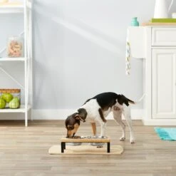 Frisco Wood Elevated Stainless Steel Double Diner Dog & Cat Bowl 8 Frisco Wood Elevated Stainless Steel Double Diner Dog & Cat Bowl -Chewy Store 161144 PT3. AC SS1800 V1561641426