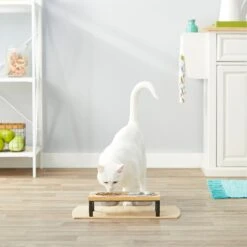 Frisco Wood Elevated Stainless Steel Double Diner Dog & Cat Bowl 9 Frisco Wood Elevated Stainless Steel Double Diner Dog & Cat Bowl -Chewy Store 161144 PT4. AC SS1800 V1561641433