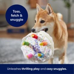 Frisco Birthday Cake Plush Squeaky Dog Toy 12 Frisco Birthday Cake Plush Squeaky Dog Toy -Chewy Store 162839 PT4. AC SS1800 V1695671061
