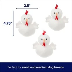 Frisco Chicken Coop Hide & Seek Puzzle Plush Squeaky Dog Toy 10 Frisco Chicken Coop Hide & Seek Puzzle Plush Squeaky Dog Toy -Chewy Store 174755 PT2. AC SS1800 V1691783968