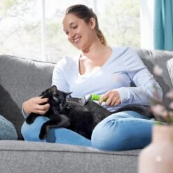 Frisco Deshedding Dog & Cat Brush 12 Frisco Deshedding Dog & Cat Brush -Chewy Store 206892 PT7. AC SS1800 V1600915915