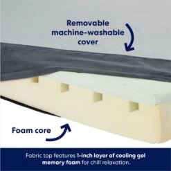 Frisco Cooling Orthopedic Pillow Dog Bed W/Removable Cover 10 Frisco Cooling Orthopedic Pillow Dog Bed W/Removable Cover -Chewy Store 210223 PT3. AC SS1800 V1700243663