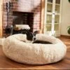 Frisco Eyelash Cat & Dog Bolster Bed -Chewy Store 210771 MAIN. AC SS1800 V1589289120