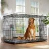 Frisco Heavy Duty Enhanced Lock Double Door Fold & Carry Wire Dog Crate & Mat Kit 2 Frisco Heavy Duty Enhanced Lock Double Door Fold & Carry Wire Dog Crate & Mat Kit -Chewy Store 233736 MAIN. AC SS1800 V1667229247