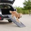 Frisco Tri-Fold Travel Dog Car Ramp 1 Frisco Tri-Fold Travel Dog Car Ramp -Chewy Store 236730 MAIN. AC SS1800 V1668186543
