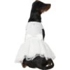 Frisco Formal Dog Wedding Dress -Chewy Store 248743 MAIN. AC SS1800 V1614118280