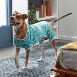 Frisco Teal Floral Dog & Cat Jersey PJs -Chewy Store 249132 PT5. AC SS1800 V1637725019