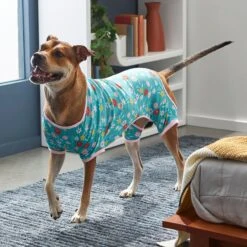 Frisco Teal Floral Dog & Cat Jersey PJs -Chewy Store 249132 PT7. AC SS1800 V1614376401