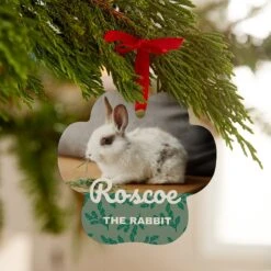 Frisco Holly Leaves Paw Shape Metal Personalized Dog & Cat Holiday Ornament -Chewy Store 249375 PT2. AC SS1800 V1608350848