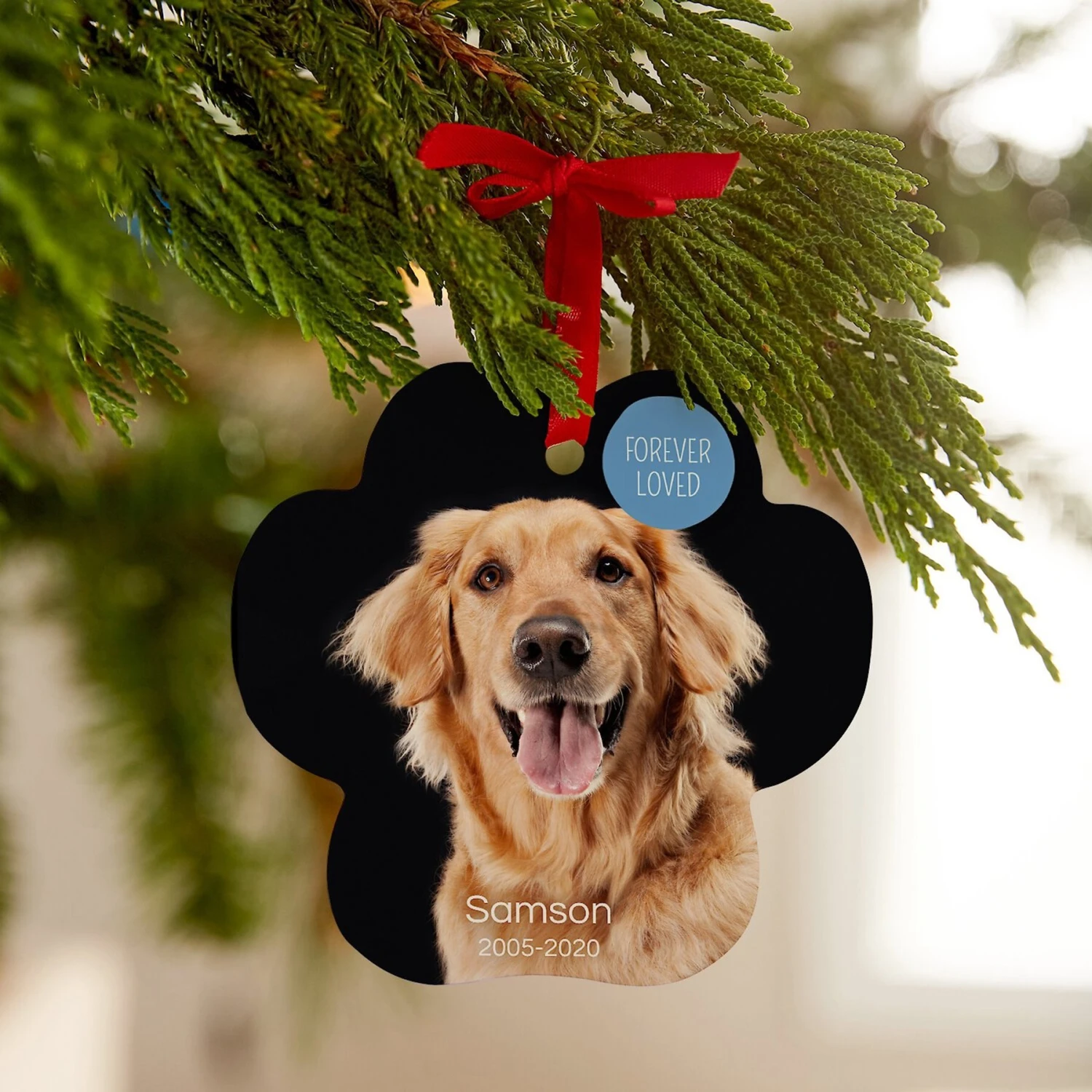 Frisco "Forever Loved" Paw Shape Metal Personalized Dog & Cat Holiday Ornament 4 Frisco "Forever Loved" Paw Shape Metal Personalized Dog & Cat Holiday Ornament - Image 3