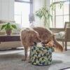 Frisco Round Collapsible Pet Toy Storage Bin, Yellow Geometric 2 Frisco Round Collapsible Pet Toy Storage Bin, Yellow Geometric -Chewy Store 250587 MAIN. AC SS1800 V1615242941