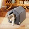 Frisco House Cave Cat & Dog Covered Bed -Chewy Store 251241 MAIN. AC SS1800 V1615242920