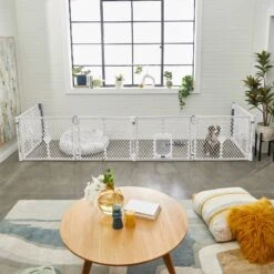 Frisco 6-Panel Plastic Exercise Dog Playpen, Light Gray 16 Frisco 6-Panel Plastic Exercise Dog Playpen, Light Gray -Chewy Store 252045 PT6. AC SS1800 V1611090517