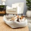 Frisco Rectangular Personalized Bolster Dog Bed W/Removable Cover, Beige, X-Large -Chewy Store 252615 MAIN. AC SS1800 V1604499115