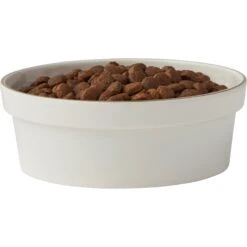 Frisco Gold Trim Melamine Dog & Cat Bowl 14 Frisco Gold Trim Melamine Dog & Cat Bowl -Chewy Store 253062 PT3. AC SS1800 V1616595685