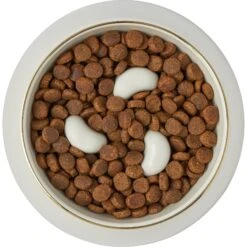Frisco Melamine Slow Feed Dog & Cat Bowl With Gold Trim -Chewy Store 253066 PT5. AC SS1800 V1616597830