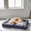 Frisco Faux Felt Orthopedic Rectangular Bolster Dog Bed W/Removable Cover 2 Frisco Faux Felt Orthopedic Rectangular Bolster Dog Bed W/Removable Cover -Chewy Store 255177 MAIN. AC SS1800 V1616013126