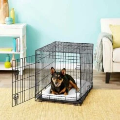 Frisco Heavy Duty Fold & Carry Single Door Collapsible Wire Dog Crate & Frisco Quilted Dog Crate Mat 9 Frisco Heavy Duty Fold & Carry Single Door Collapsible Wire Dog Crate & Frisco Quilted Dog Crate Mat -Chewy Store 255551 PT2. AC SS1800 V1604096511