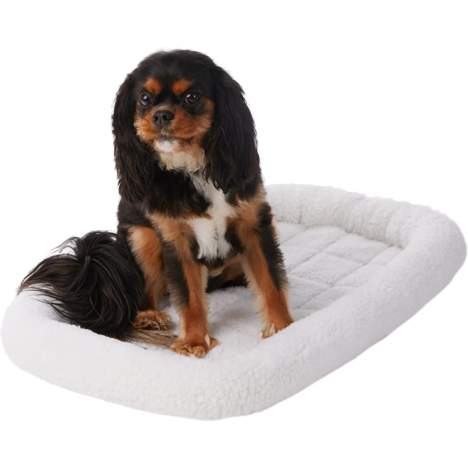 Frisco Heavy Duty Fold & Carry Single Door Collapsible Wire Dog Crate & Frisco Quilted Dog Crate Mat 7 Frisco Heavy Duty Fold & Carry Single Door Collapsible Wire Dog Crate & Frisco Quilted Dog Crate Mat - Image 5