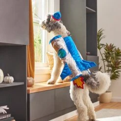 Frisco Rocket Ship Dog & Cat Costume 17 Frisco Rocket Ship Dog & Cat Costume -Chewy Store 260904 PT8. AC SS1800 V1624400386