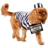 Frisco Prisoner Dog & Cat Costume 2 Frisco Prisoner Dog & Cat Costume -Chewy Store 260933 MAIN. AC SS1800 V1624400089