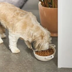 Frisco Dog Face Non-skid Ceramic Cat & Dog Bowl 10 Frisco Dog Face Non-skid Ceramic Cat & Dog Bowl -Chewy Store 270226 PT2. AC SS1800 V1620762156