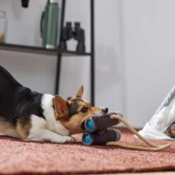 Frisco Camping Binoculars Plush With Rope Squeaky Dog Toy -Chewy Store 271009 PT3. AC SS1800 V1625009167