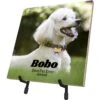 Frisco Personalized Basic Ceramic Photo Tile With Stand -Chewy Store 271227 MAIN. AC SS1800 V1619197918