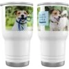 Frisco "Classic" Double Walled Personalized Tumbler. 30-oz -Chewy Store 272541 MAIN. AC SS1800 V1624984366