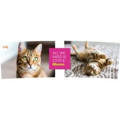 Frisco "Classic" Double Walled Personalized Tumbler. 30-oz 8 Frisco "Classic" Double Walled Personalized Tumbler. 30-oz -Chewy Store 272541 PT2. AC SS1800 V1625686095