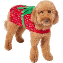 Frisco Holiday Giftbox Dog & Cat Costume