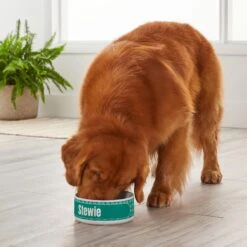Frisco General Pet Ceramic Personalized Dog & Cat Bowl 9 Frisco General Pet Ceramic Personalized Dog & Cat Bowl -Chewy Store 278922 PT3. AC SS1800 V1629147409