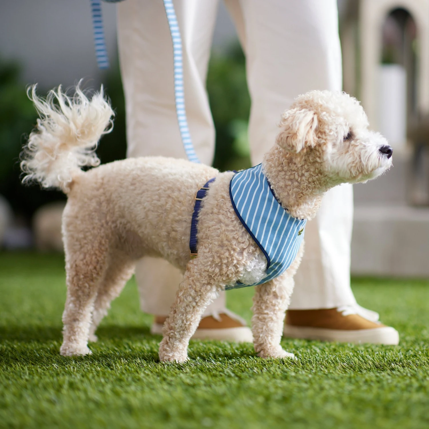 Frisco Fashion Over-The-Head Harness, Striped 7 Frisco Fashion Over-The-Head Harness, Striped - Image 5