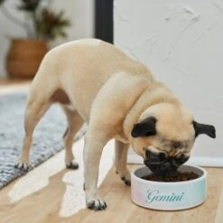 Frisco Watercolors Ceramic Personalized Dog Bowl 11 Frisco Watercolors Ceramic Personalized Dog Bowl -Chewy Store 296664 PT2. AC SS1800 V1625764663