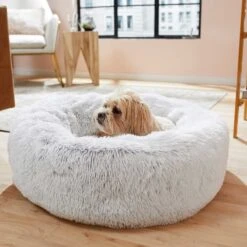 Frisco Eyelash Cat & Dog Bolster Bed & Frisco Eyelash Cat & Dog Blanket -Chewy Store 303412 PT4. AC SS1800 V1623069146