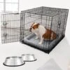 Frisco Fold & Carry Double Door Collapsible Wire Dog Crate & Mat Kit & Frisco Stainless Steel Bowl 2 Frisco Fold & Carry Double Door Collapsible Wire Dog Crate & Mat Kit & Frisco Stainless Steel Bowl -Chewy Store 303428 MAIN. AC SS1800 V1657656797