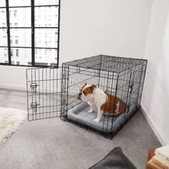 Frisco Fold & Carry Double Door Collapsible Wire Dog Crate & Mat Kit & Frisco Stainless Steel Bowl -Chewy Store 303428 PT4. AC SS1800 V1623089543