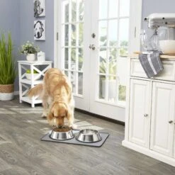 Frisco Fold & Carry Double Door Collapsible Wire Dog Crate & Mat Kit & Frisco Stainless Steel Bowl -Chewy Store 303428 PT7. AC SS1800 V1623045760