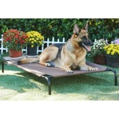 Frisco Replacement Cover For Steel-Framed Elevated Dog Bed & Frisco Steel-Framed Elevated Dog Bed -Chewy Store 303624 PT5. AC SS1800 V1623084445