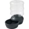 Frisco Wide Mouth Gravity Waterer 1 Frisco Wide Mouth Gravity Waterer -Chewy Store 308945 MAIN. AC SS1800 V1634158585