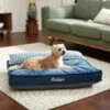 Frisco Personalized Navy Bolstered Bed With Navy Check Bolster 1 Frisco Personalized Navy Bolstered Bed With Navy Check Bolster -Chewy Store 311766 MAIN. AC SS1800 V1633102642